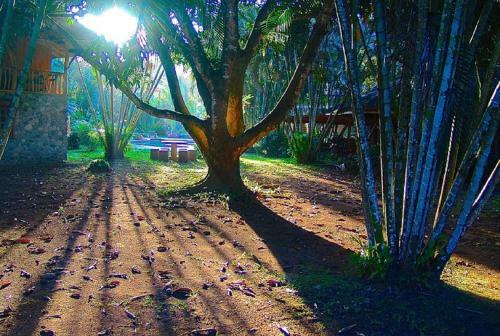 Lodge Bungalow Mal�