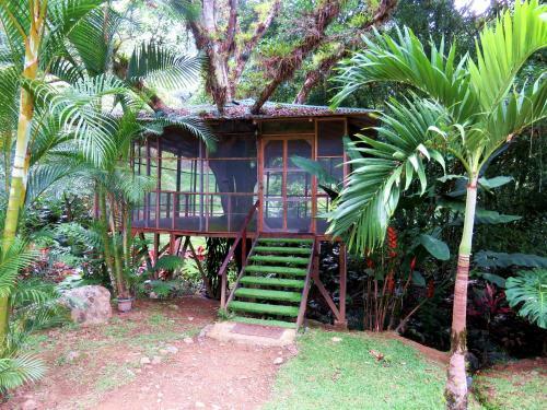 Hotel Rio Perlas