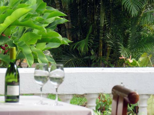 Hotel Rio Perlas