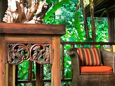 Hotel Lost Iguana Resort And Spa