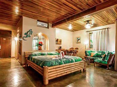 Hotel Lost Iguana Resort And Spa