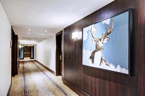 Apartamento Lodge At Vail C360c