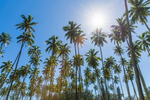 Apartamento Kapaa Shore Resort #305