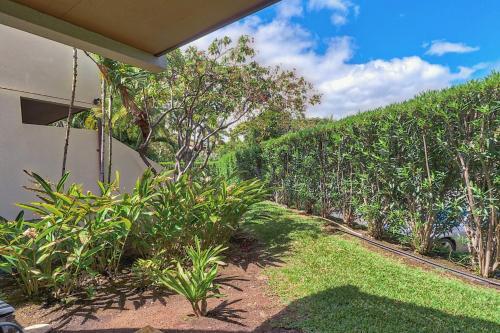 Apartamento Maui Kamaole #d-109 Condo