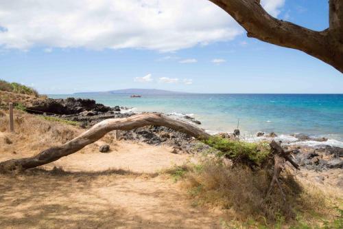 Apartamento Hale Kamaole #172