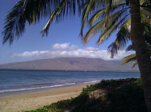Apartamento Kihei Akahi Resort - Unit C618