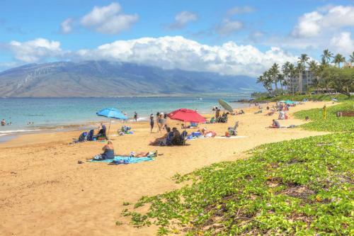 Maui Banyan Q409a & Q409
