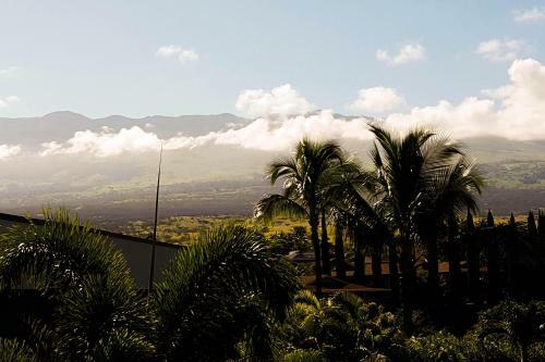 Maui Banyan Q409a & Q409