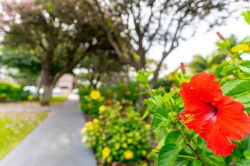 Apartamento Kihei Akahi #b-203 Condo