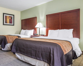 Hotel Comfort Inn Richburg