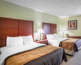 Hotel Comfort Inn Richburg