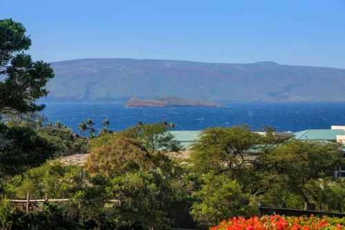 Apartamento Wailea Ekolu #503 Condo