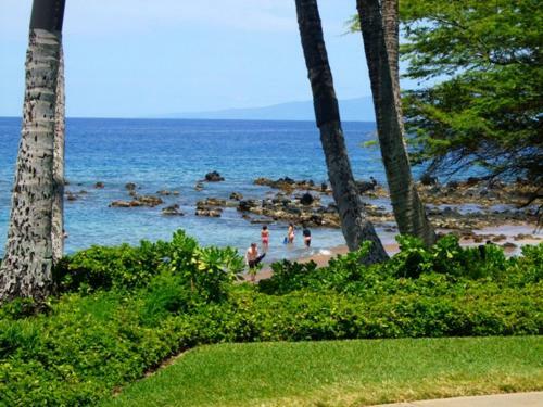 Apartamento Wailea Elua #2110 Condo