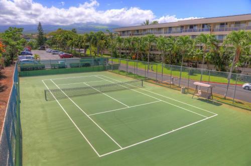 Maui Banyan Q203a & Q203b