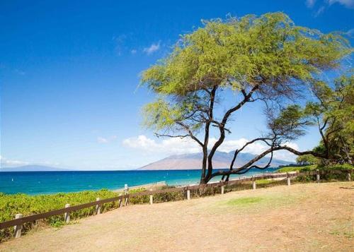 Apartamento Hale Kamaole #213