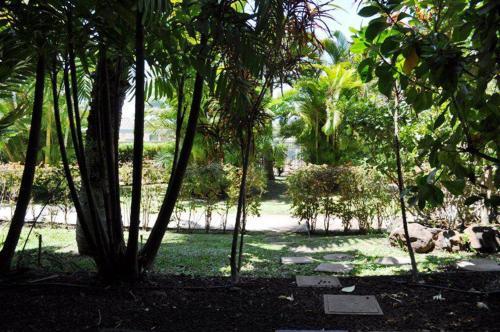Apartamento Maui Banyan #g-105 Condo