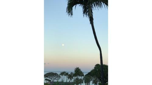 Apartamento Wailea Elua #207 Condo