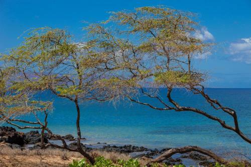 Apartamento Maui Parkshore #304 Condo