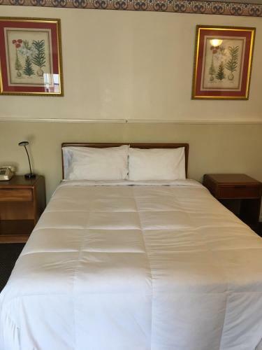 Motel Stay Plus Inn