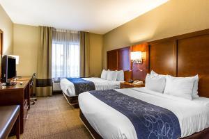Hotel Comfort Suites Mattoon Illinois