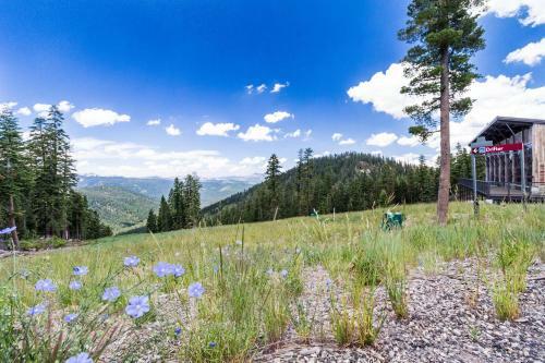 Northstar Original Village Studio One