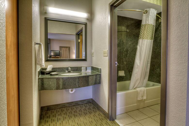 Hotel Hampton Inn & Suites Petoskey