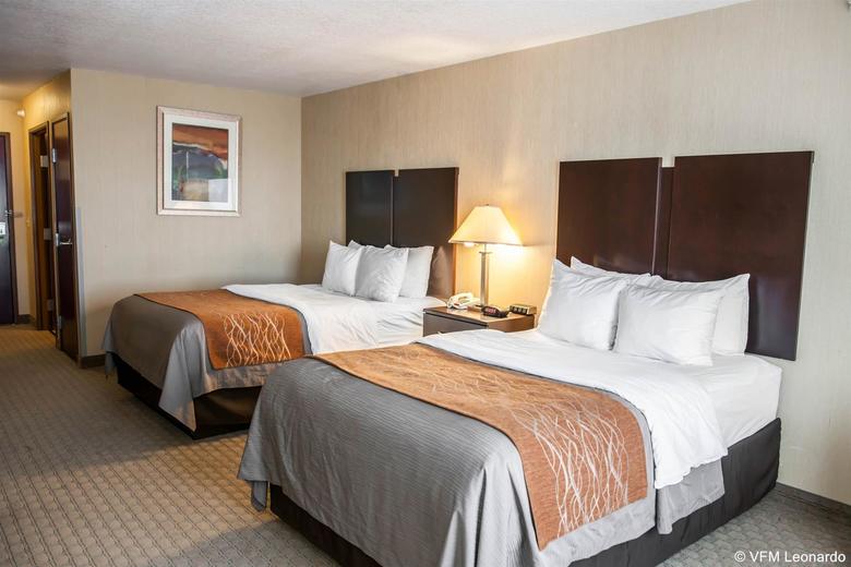 Hotel Comfort Inn & Suites Muncie