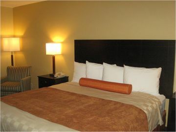 Hotel Best Western Plus Gold Poppy Inn