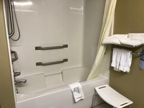 Hotel Microtel Inn & Suites By Wyndham Lithonia/stone Mountain