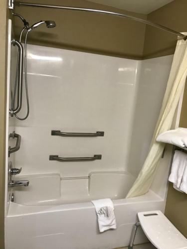 Hotel Microtel Inn & Suites By Wyndham Lithonia/stone Mountain
