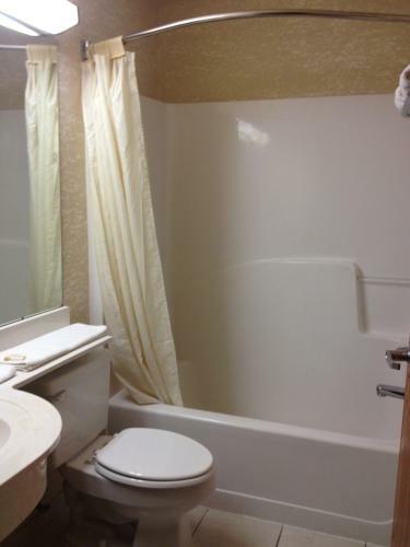 Hotel Microtel Inn & Suites By Wyndham Lithonia/stone Mountain