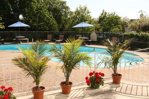 Hotel Norwalk Inn And Conference Center