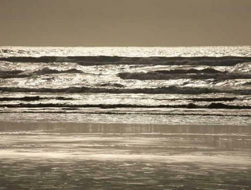 Hotel Sandpiper Beach Resort