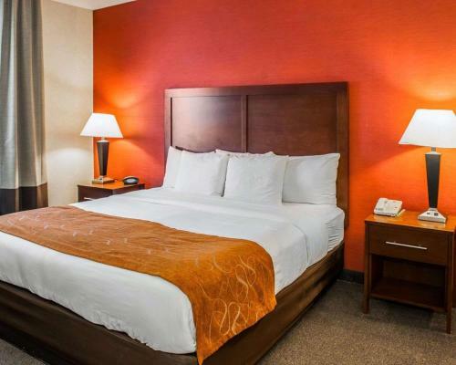 Hotel Comfort Suites Fishers/indianapolis Northeast
