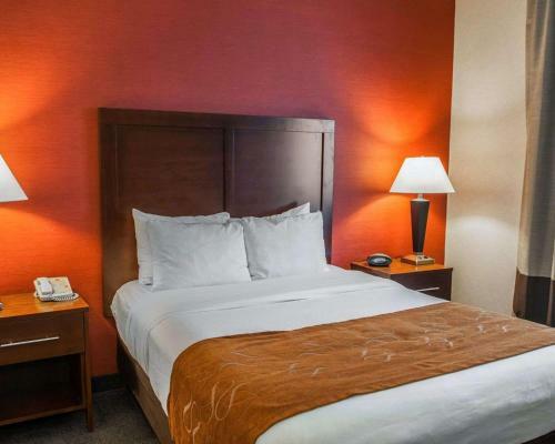 Hotel Comfort Suites Fishers/indianapolis Northeast