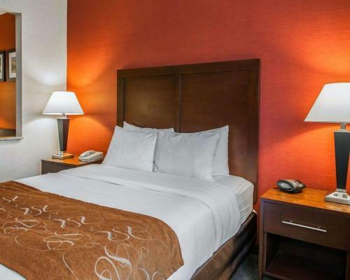 Hotel Comfort Suites Fishers/indianapolis Northeast
