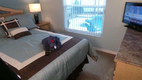 Loyalty Vacation Homes - Kissimmee