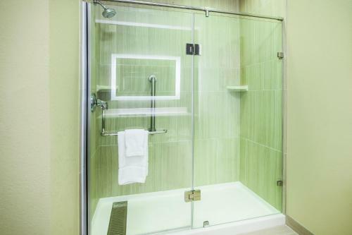 Holiday Inn Express Hotel & Suites Kokomo
