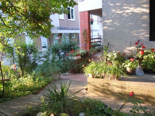 Hostal Guest House Vila Biljana