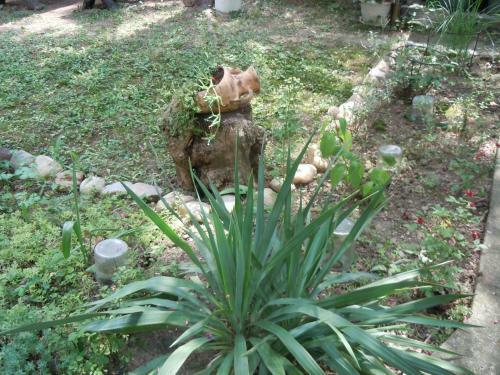 Hostal Guest House Vila Biljana