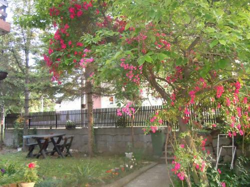 Hostal Guest House Vila Biljana