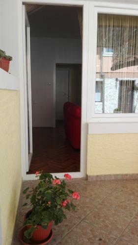 Apartamentos Guesthouse Dizija