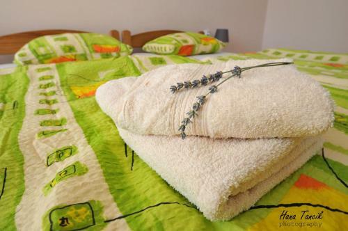 Apartments Svetlica