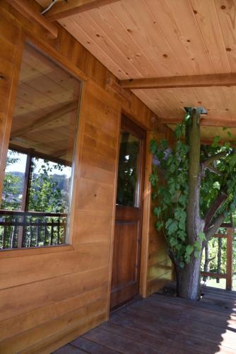 Holiday Home Ku?ica Na Drvetu