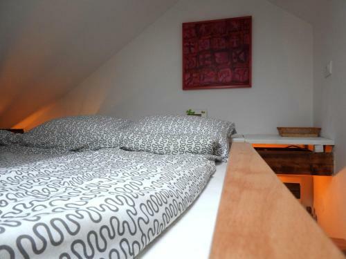 Apartment Loft Art Gallery Belgrade Downtown