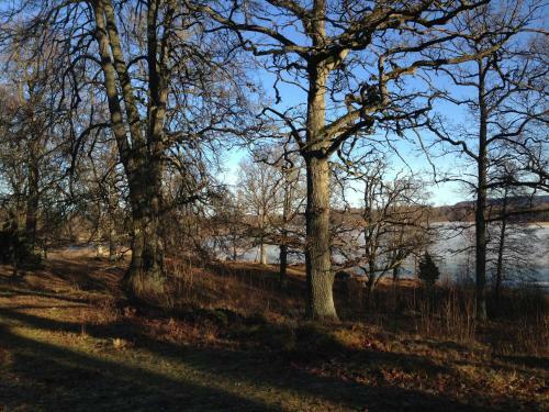 Hostal Fredriksons Pensionat Sj�backa