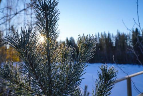 �sarna Skicenter