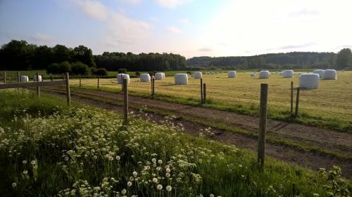 Lidhem B&B And Holiday Apartments