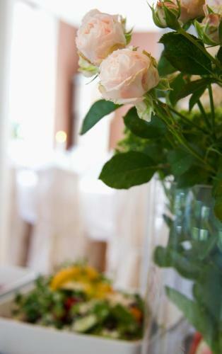 Hostal Hofsn�s Lilla Sj�stuga