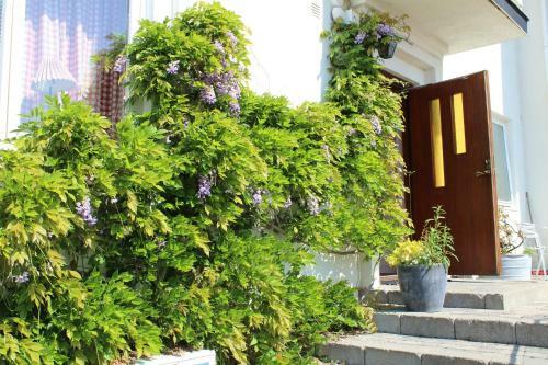 Bed & Breakfast Pensionat Strandg�rden